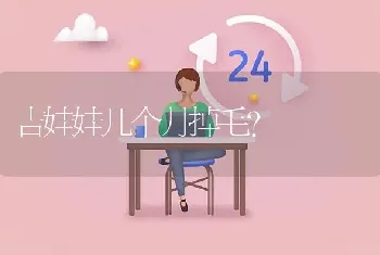 吉娃娃几个月掉毛？