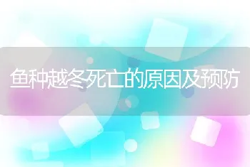 鱼种越冬死亡的原因及预防