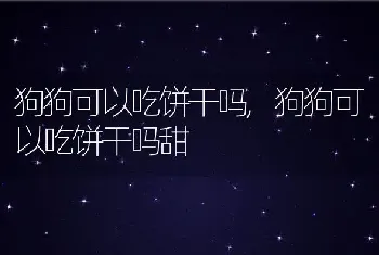 狗狗可以吃饼干吗，狗狗可以吃饼干吗甜