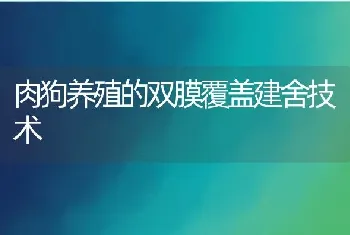 肉狗养殖的双膜覆盖建舍技术