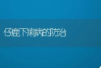 仔鹿下痢病的防治