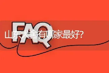 山东犬舍有哪家最好？