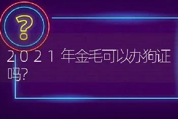 2021年金毛可以办狗证吗？