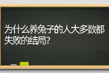 为什么养兔子的人大多数都失败的结局？