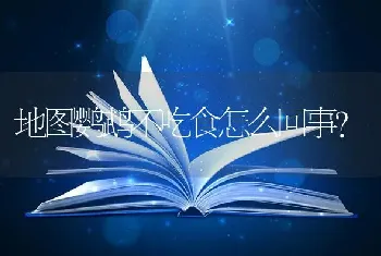 地图鹦鹉不吃食怎么回事？