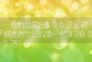 一斤竹鼠卖出100元！蒋扬杰养竹鼠仅靠一招年销900万！