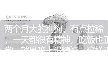 两个月大的狗狗。有点拉稀，一天都很有精神，吃饭也正常、就是晚上没精神。这样正常吗？