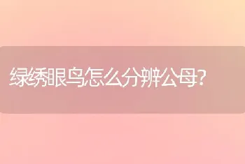 绿绣眼鸟怎么分辨公母？