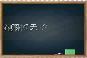 养哪种龟无害？