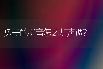 兔子的拼音怎么加声调？