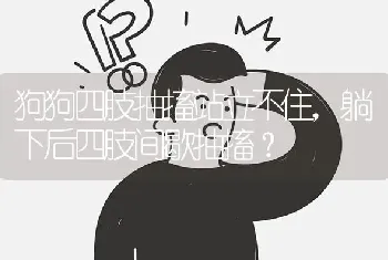 狗狗四肢抽搐站立不住，躺下后四肢间歇抽搐？