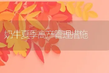 奶牛夏季高产管理措施