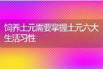 饲养土元需要掌握土元六大生活习性