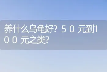 养什么乌龟好？50元到100元之类？