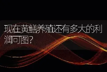 现在黄鳝养殖还有多大的利润可图？