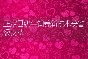 正定县奶牛饲养新技术获省级支持