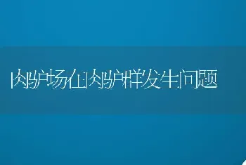 肉驴场在肉驴群发生问题