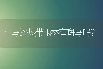 亚马逊热带雨林有斑马吗？