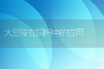 大豆皮在饲料中的应用