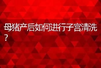 黄鳝小池密养关键技术