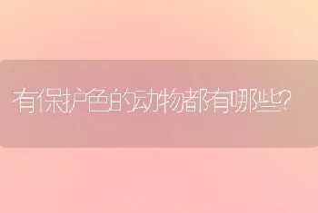 两只凤头百灵放一起老是打架怎么回事?