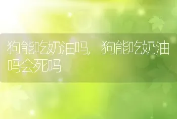 狗能吃奶油吗，狗能吃奶油吗会死吗