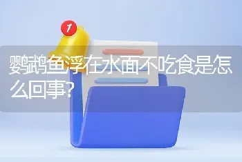 800*340*540的缸能养龙鱼吗，20多CM的银龙多少钱？