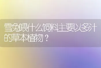 雪兔喂什么饲料主要以多汁的草本植物？