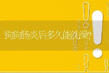 狗狗肠炎后多久能洗澡？