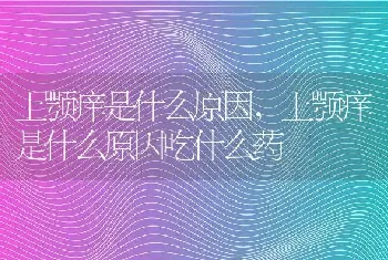 上颚痒是什么原因，上颚痒是什么原因吃什么药