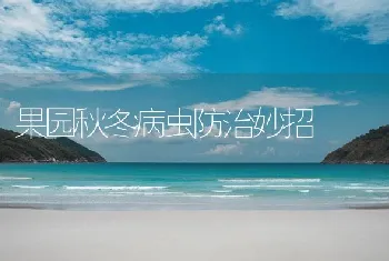 搞好水质调控，青虾高产高效