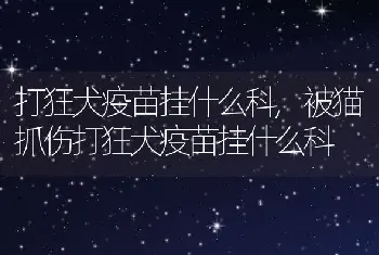 打狂犬疫苗挂什么科，被猫抓伤打狂犬疫苗挂什么科