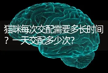 猫咪每次交配需要多长时间？一天交配多少次？