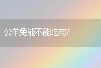 公羊兔能不能吃肉？