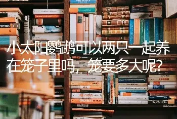 小太阳鹦鹉可以两只一起养在笼子里吗，笼要多大呢？