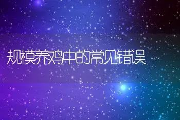 规模养鸡中的常见错误