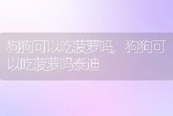 狗狗可以吃菠萝吗，狗狗可以吃菠萝吗泰迪