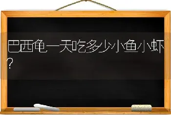 巴西龟一天吃多少小鱼小虾？