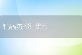 鸭病防控8要点