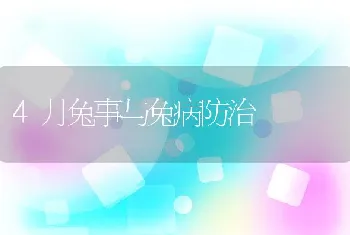 4月兔事与兔病防治