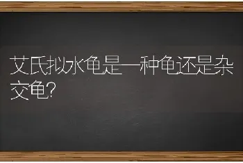 我家比熊一直咳咳跟卡着东西一样怎么回事？