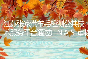 江苏张家港羊毛检测公共技术服务平台通过CNAS审核