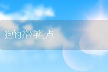 狍的养殖特点