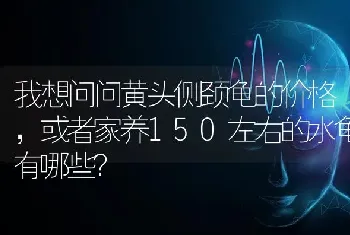 我想问问黄头侧颈龟的价格，或者家养150左右的水龟有哪些？