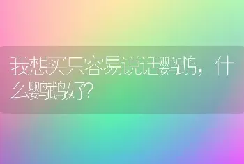 我想买只容易说话鹦鹉，什么鹦鹉好？