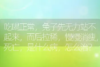 吃喝正常，兔子先无力站不起来，而后拉稀，慢慢消瘦，死亡，是什么病，怎么治？