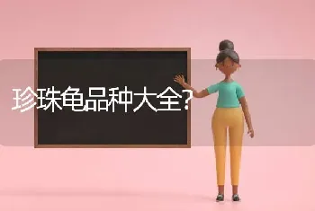 世界上最好听的猫咪名字八个字的？