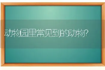 埃及喵是什么游戏？