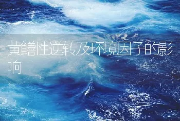 黄鳝性逆转及环境因子的影响