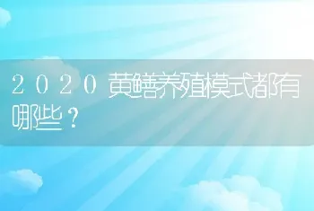 2020黄鳝养殖模式都有哪些？